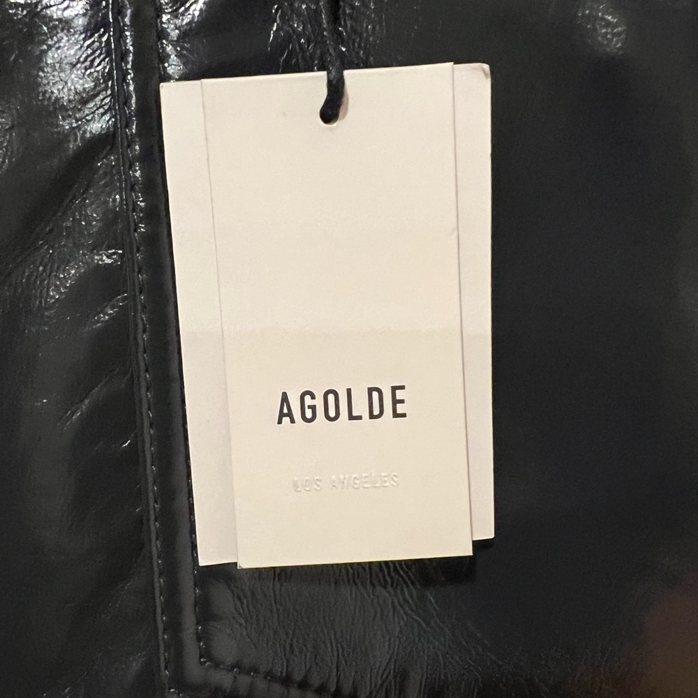 AGOLDE Recycled Leather 90's Pinch Waist Straight Leg Pants in Carbon (32) - Picture 13 of 14